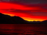 new-zealand
