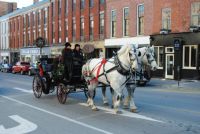 Port Hope Ontario - Horse-Drawn Carriage