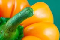Yellow Pepper