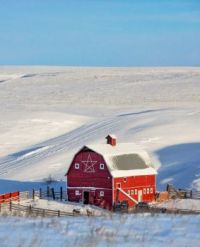 An Old Red barn Graces This Snowy, Rural Scene Near Mount Horeb, Wisconsin...