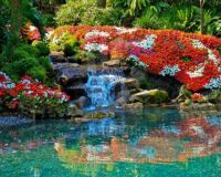 Waterfall Flower Garden