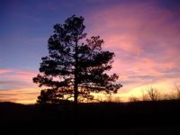 Sunset in the Ozarks