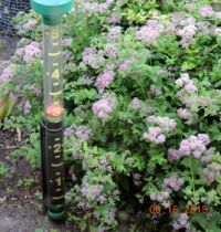 rain gauge