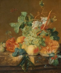 Still Life with Fruit (1700 - 1749) by Jan van Huysum