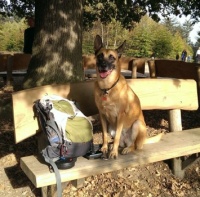 Bo, lets get outside