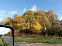 autumn colours 2