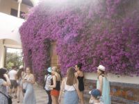 alcazar