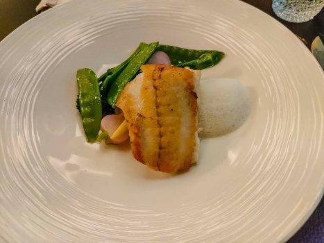 Solve Turbot, fennel foam, risotto, young vegetables jigsaw puzzle ...