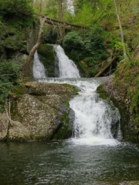 Tumbling Waters Waterfall at PEEC