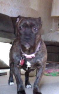 Annie