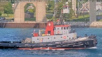 Nickelena - Great Lakes Tug - Port Huron, MI (2025-06-01)