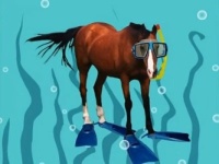 horse