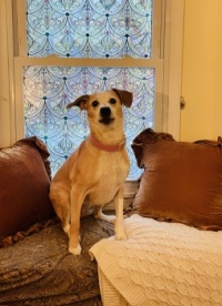 Window Seat Millie