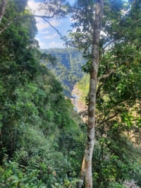 Barron Gorge (large)