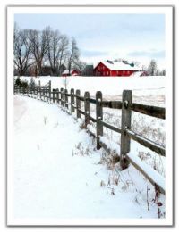 winter at the frm