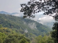 NC Mountains morning mist