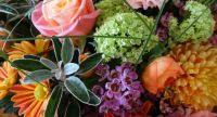 Funky-Flowers