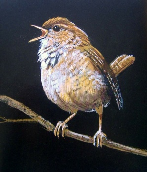 Solve Art - Bird - Wren jigsaw puzzle online with 195 pieces