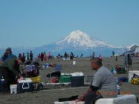 the beach at Kenai, Ak., Mt. Redoubt in the background
