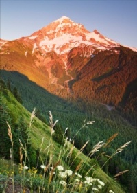 Mt. Hood sunset from Bald Mountain: Northern Cascades, Oregon
