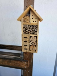 Insects hotel!
