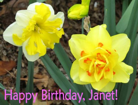 Happy Birthday, Janet!
