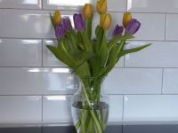 Yellow & Purple Tulips