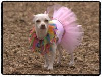 Ready for my ballet lesson!