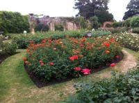 Rose Garden at Hever Castle, Kent