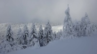 Winter II