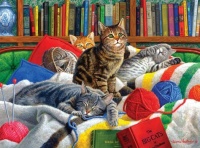 Cats and Books #4