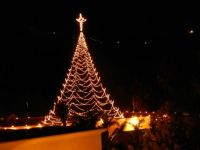 My Christmas Light-tree