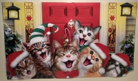 Christmas Cats Selfie!