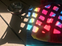 Colorful Crocks in an interesting shadow