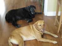 Old and Young