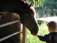 Lizzy & Horse