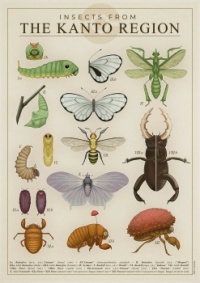 pokemon old style insect diagrams