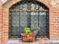 Window Grille #4