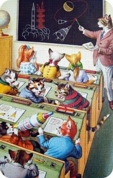 The Feline School