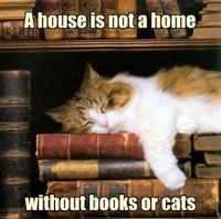 books and cats