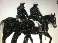 Mounted Patrol