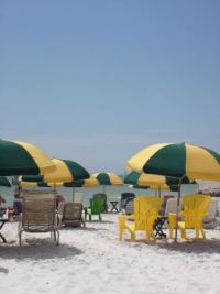 Umbrellas Florida 2009