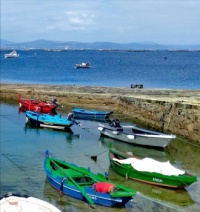 Boats. Galicia, Spain