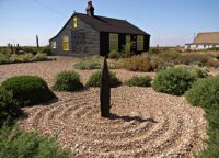 Dungeness2