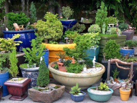Garden with Pots-
