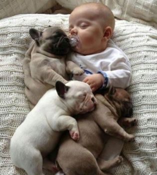 Being a dog lover starts early in life!