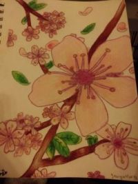 Young artist's rendering of a cherry blossom