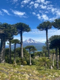 Great View