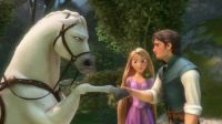 Maximus Hoof Shake
