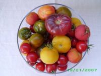 heirloom tomatoes